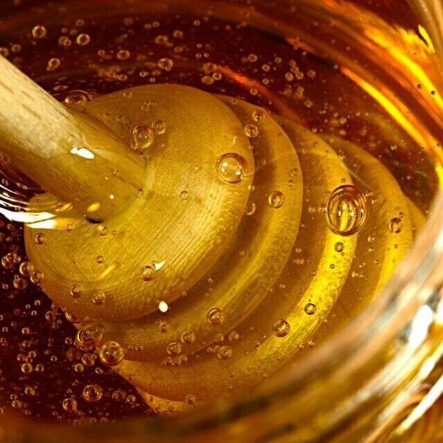 Miód spadziowy leśny